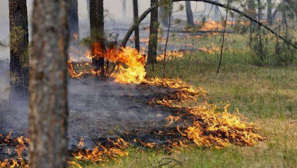 Пожежа не лякає: закарпатці продовжують спалювати сміття та суху траву