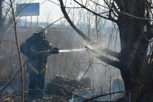 Рятувальники пропонують закарпатцям зробити вибір: випалені поля, чи зелені полонини (ФОТО)