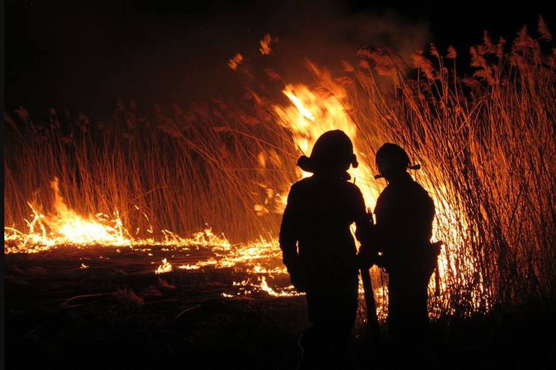 Близько 70 000 гривень збитків: на Ужгородщині розгорілася масштабна пожежа