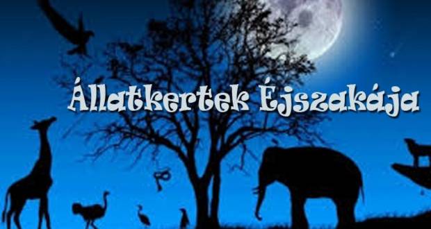 В сусідній Угорщині відбудеться захід "Ніч зоопарків"