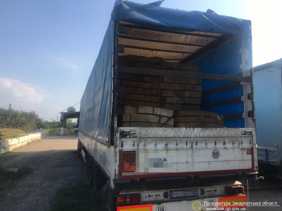 Спецоперація на Закарпатті: прокуратура та СБУ викрили схему незаконного вивезення деревини (ФОТО)