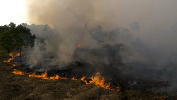 Індонезію охопили лісові пожежі, 50 тисяч гектарів у вогні: моторошні кадри (ФОТО, ВІДЕО)