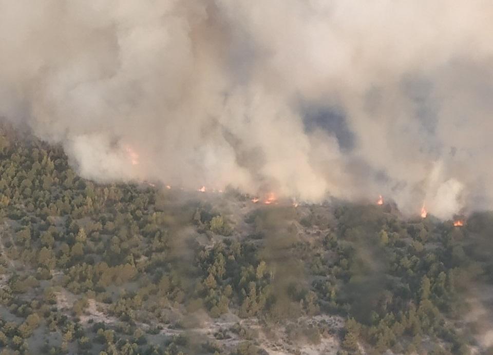 До ліквідації пожежі залучили авіацію: горить ліс на території військового полігону