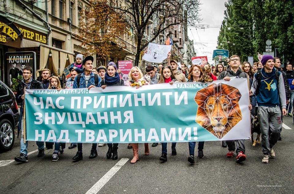 В Ужгороді відбудеться "Марш за права тварин"