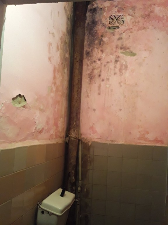 Облуплені стіни та грибок: стан Міжгірського пологового лякає (ФОТО)