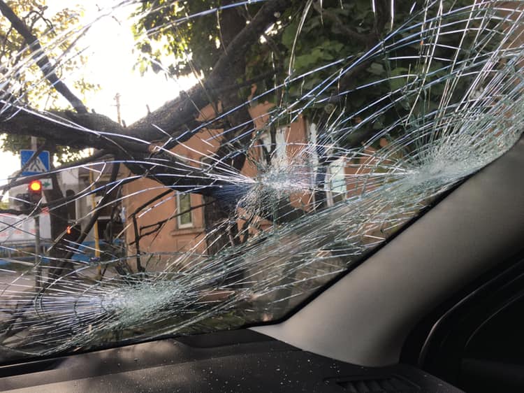"Не зрозуміла, що трапилося, поки скло не посипалося": в Ужгороді на автівку, що рухалася впало дерево (ФОТО)