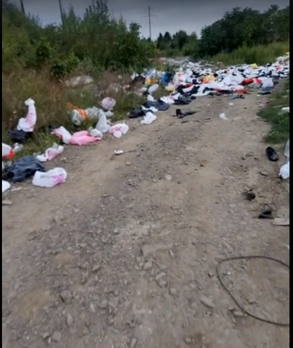Звалище: одна з вулиць Ужгорода завалена сміттям (ВІДЕО)