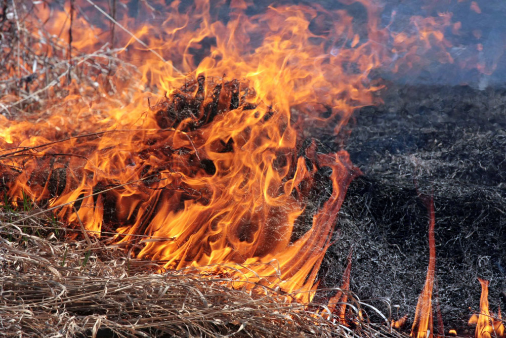Жертва вогню: жінка загинула спалюючи суху траву
