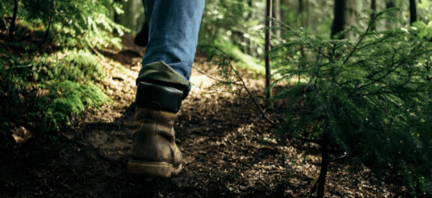 Ніч у лісі: на Тячівщині заблукали двоє підлітків-грибників
