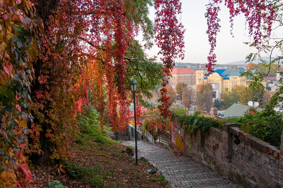 Ужгородська "золота осінь" зачаровує (ФОТО)