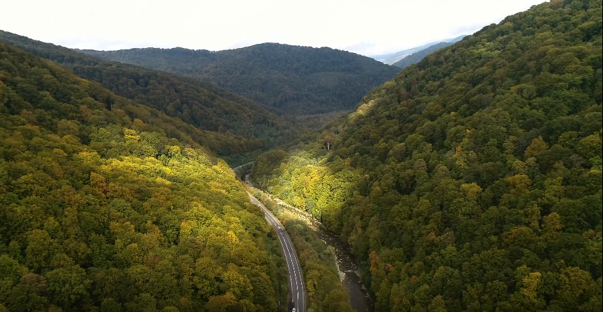 Вражаюче відео: у мережі показали могутню красу Закарпатських лісів (ВІДЕО)