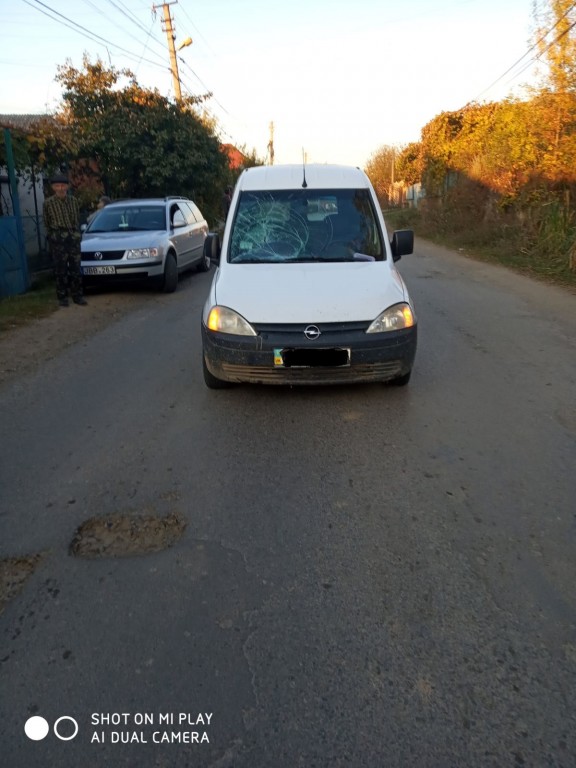 На Виноградівщині автомобіль збив 13-річну дівчинку (ФОТО)