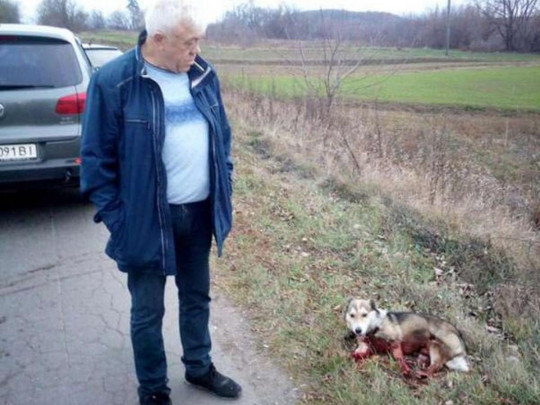 На Хмельниччині чиновник прив'язав собаку до авто і протягнув більше кілометру (ВІДЕО18+)