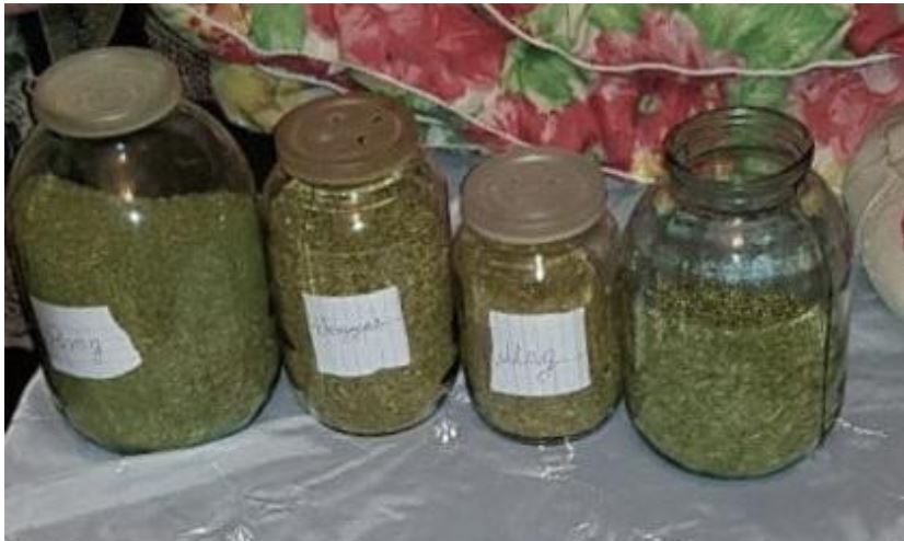 Осіння консервація: у жителя Берегова вилучили марихуану