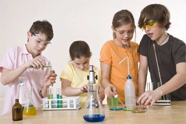 В Україні зі шкільної програми зникне ряд предметів, серед яких хімія та фізика? (ДОКУМЕНТ)