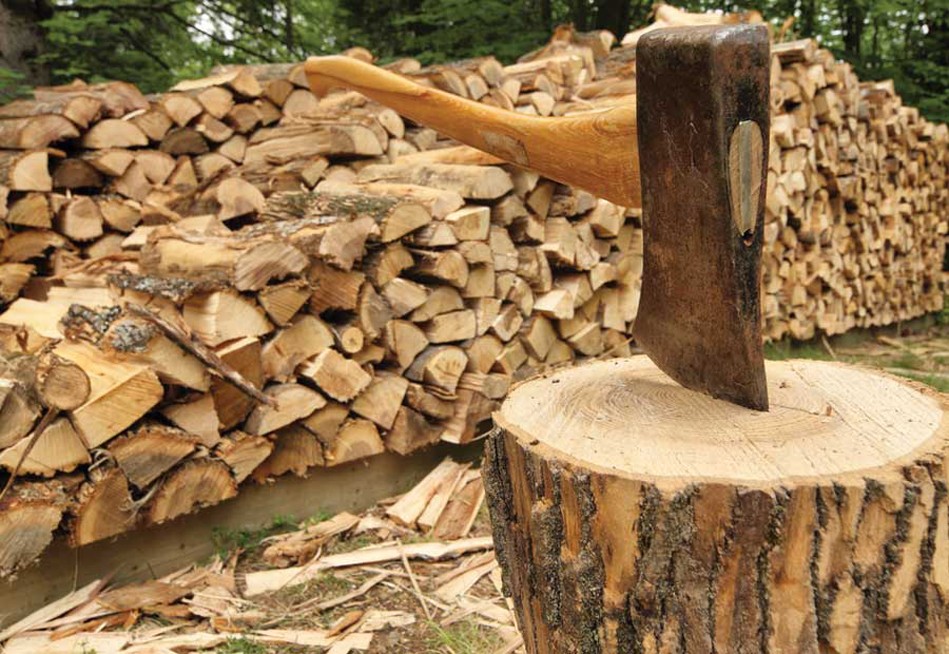 Якою цьогорічь буде вартість дров у різних куточках Закарпаття? (ІНФОГРАФІКА)