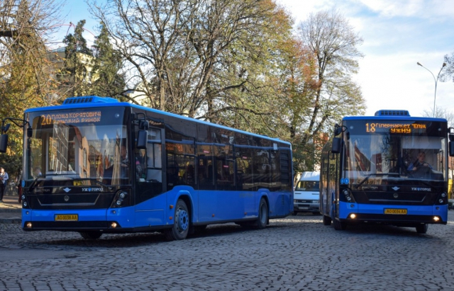 30 зупинок без пересадок: В Ужгороді відкриють новий автобусний маршрут