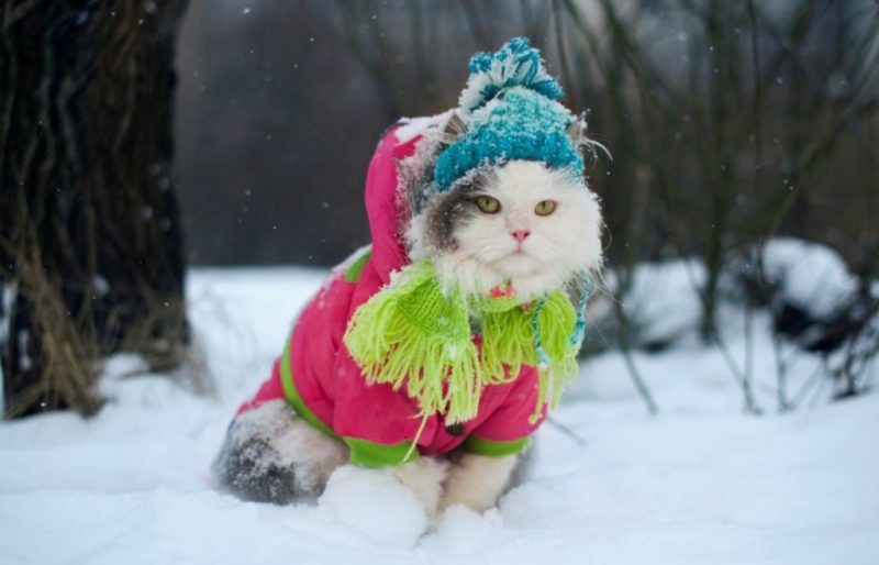 Морози до -21°: в Україну йде сувора зима – синоптик