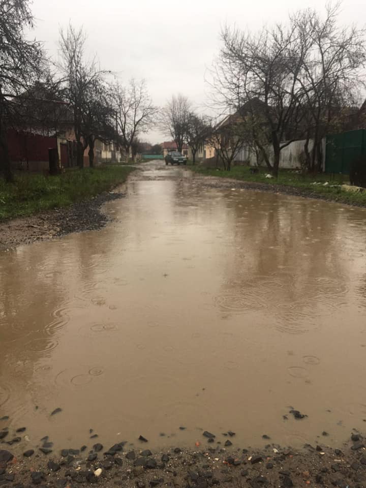 Один з мікрорайонів Мукачева потопає у болоті (ФОТО)