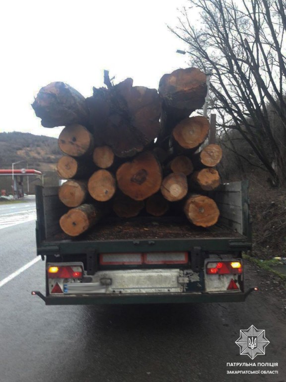 Патрульні Закарпаття виявили вантажівку з незаконною деревиною