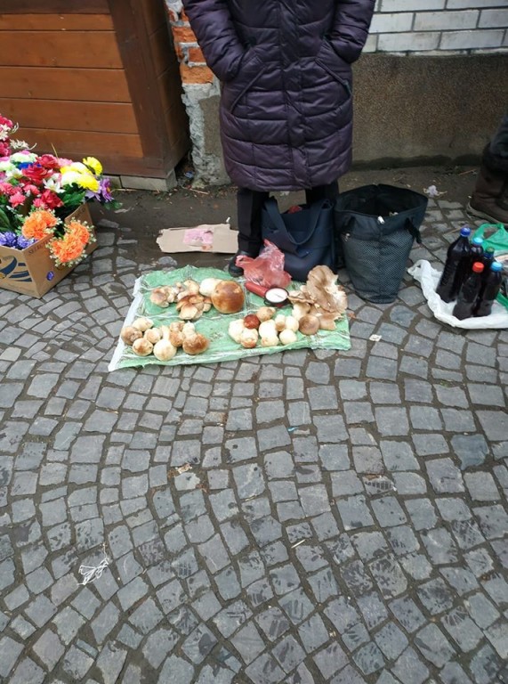 В Ужгороді й досі продають свіжі гриби (ФОТО)