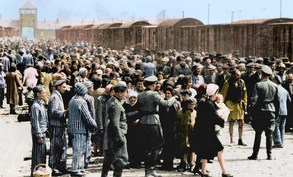 Нерозказане: рідкісні знімки з Освенцима які зберегла його колишня ув’язнена з Закарпаття (ФОТО)