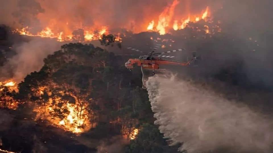 "Апокаліпсис" в Австралії: горять ліси, вже півмільярда загиблих (Фото, Відео)