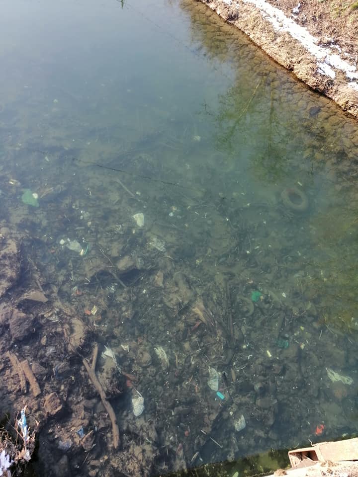 Екологічна проблема на Закарпатті: у мережі показали водойми повні сміття (ФОТО)