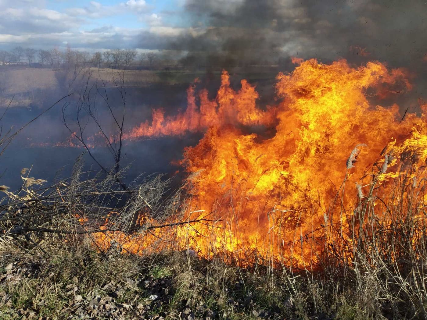 На Закарпатті чи не повсюдно вирують масштабні "сезонні" пожежі