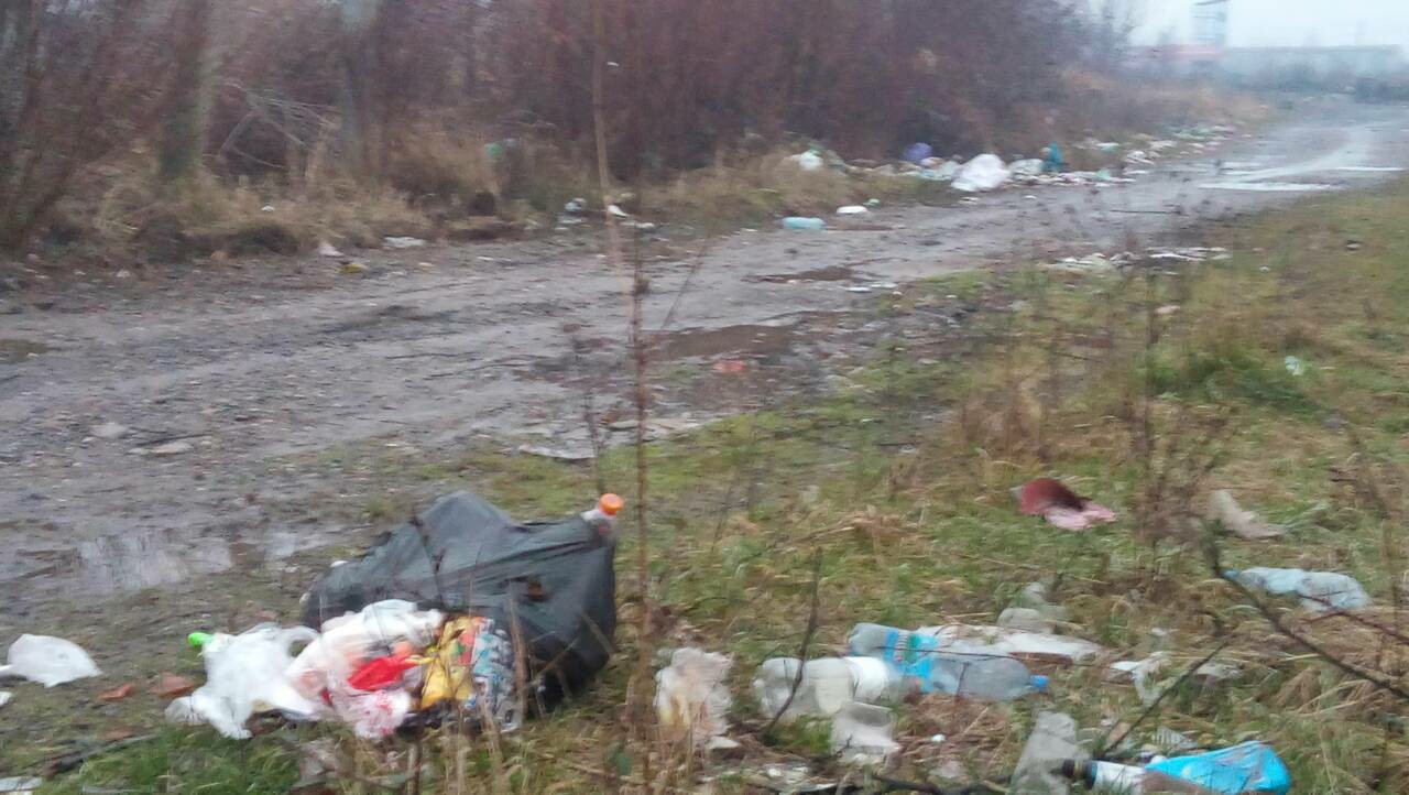 На Виноградівщині люди викидають сміття прямо на дорогу (ФОТО)