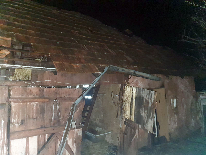 Пожежа на Мукачівщині: вогонь із хліва перекинувся на житловий будинок (ФОТО)