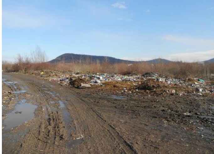 Екокатастрофа на Закарпатті: околиці Берегова перетворюються у сміттєзвалище (ФОТО)