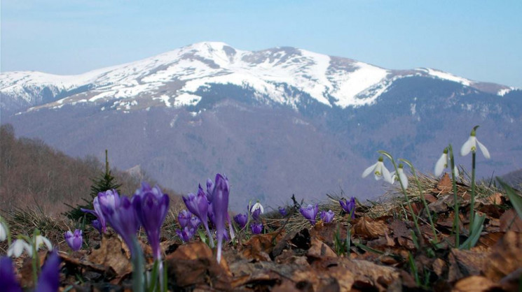 Весна в Карпатах: які фантастичні краєвиди можна побачити у березні (ФОТО)