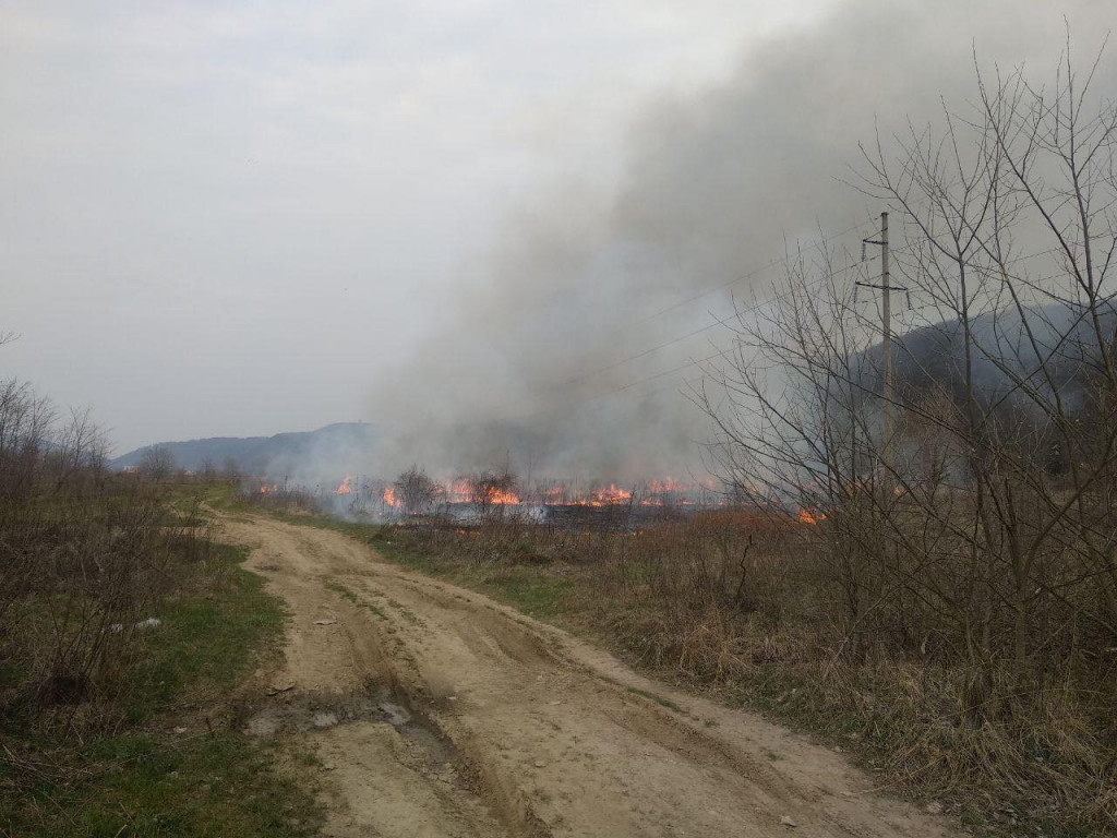 Поблизу Ужгорода палають поля (ФОТО, ВІДЕО)