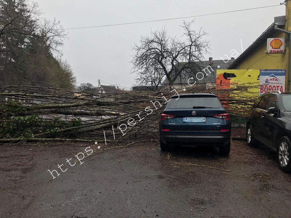 В Ужгороді від сильного вітру та негоди на автомобілі впало дерево (ФОТО)