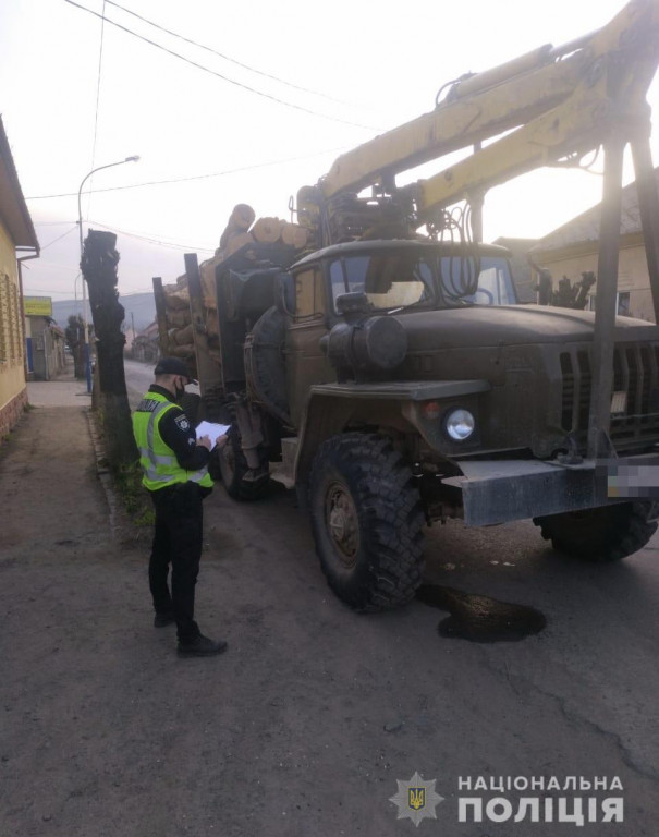 Вантажівки повні деревини затримали на Березнянщині (ФОТО)