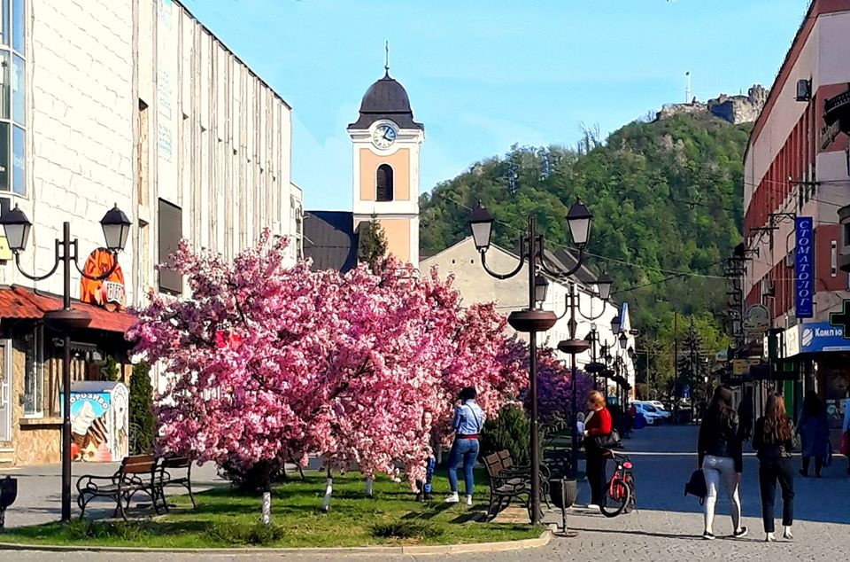 Рожевий Хуст: в місті квітне справжня весна (ФОТО)