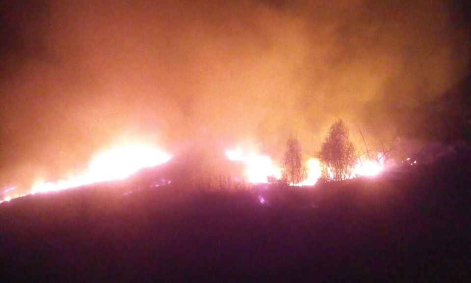 Ледь вціліли оселі громадян: на Виноградівщині вночі бушувала масштабна пожежа (ФОТО)