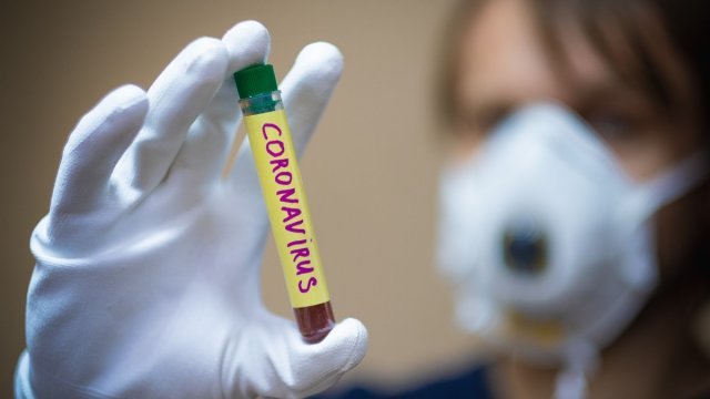 Коронавірус лютує: на Мукачівщині у притулку діагностовано 17 випадків Covid-19