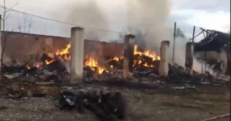 Гарячий Великдень: рятувальники намагаються ліквідувати пожежу на Виноградівщині (ВІДЕО)