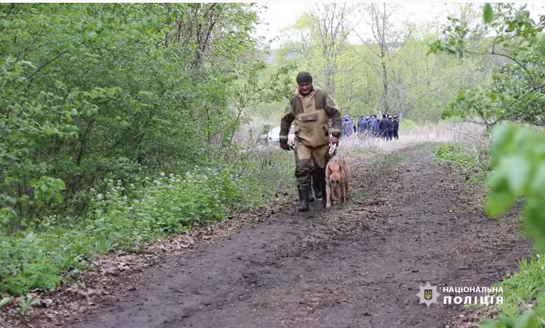 Знайшли мертвою у полі: 6-річну дівчинку шукали з екстрасенсами, водолазами та під дощем (ВІДЕО)