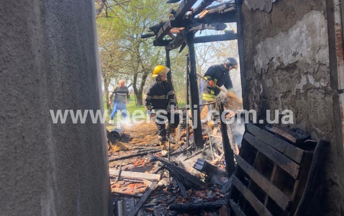 Масштабна пожежа в селі на Мукачівщині (ФОТО)