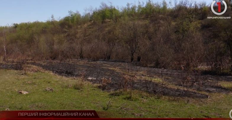 Через масові підпали сухої трави у Широкому ледь не згоріли будинки (ВІДЕО)