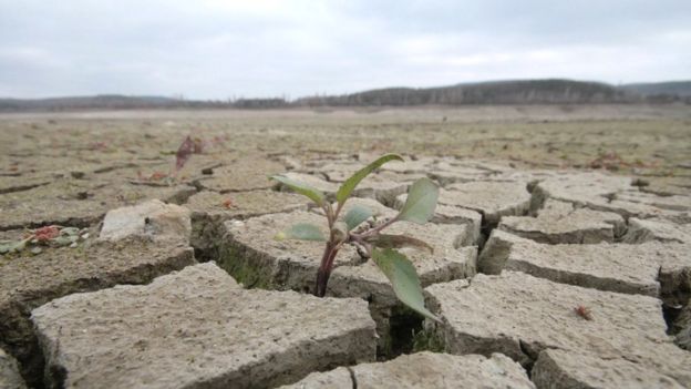 Критична ситуація в Україні: засуха і вода по годинах (ФОТО)