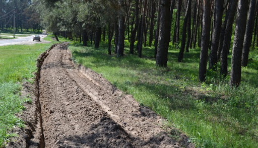 Мінералізовані смуги боронять закарпатські ліси від пожеж