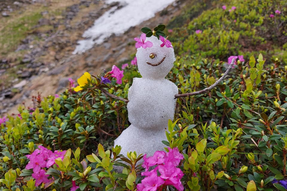 У горах Закарпаття заквітчаний сніговик радіє літу (ФОТО)