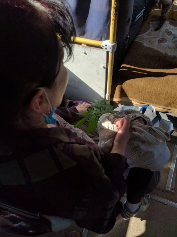 Бабця з рослиною в ужгородській маршрутці: відкрито кримінальне провадження (ФОТО)
