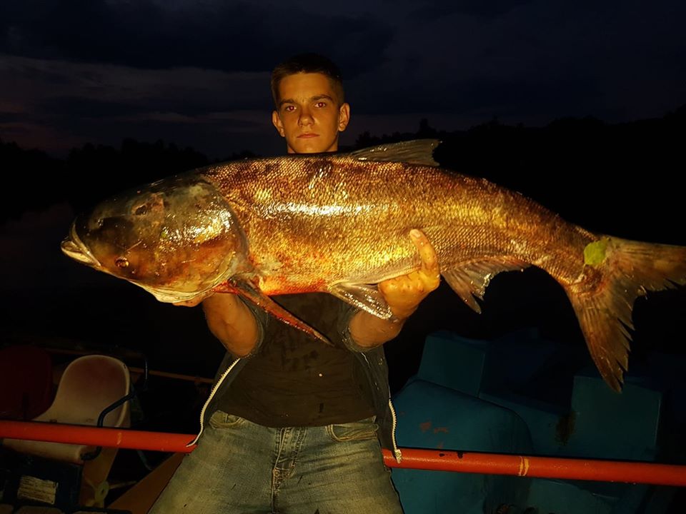 Вдалий улов: закарпатець похизувався величезною рибиною із озера Шаян