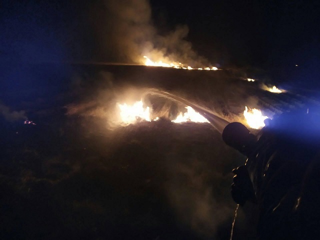 На Виноградівщині пожежники ліквідували пожежу на кілька гектарів