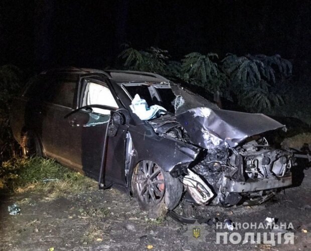 Летальна ДТП на Буковині: авто збило кабана і в'їхало в дерево (ФОТО)